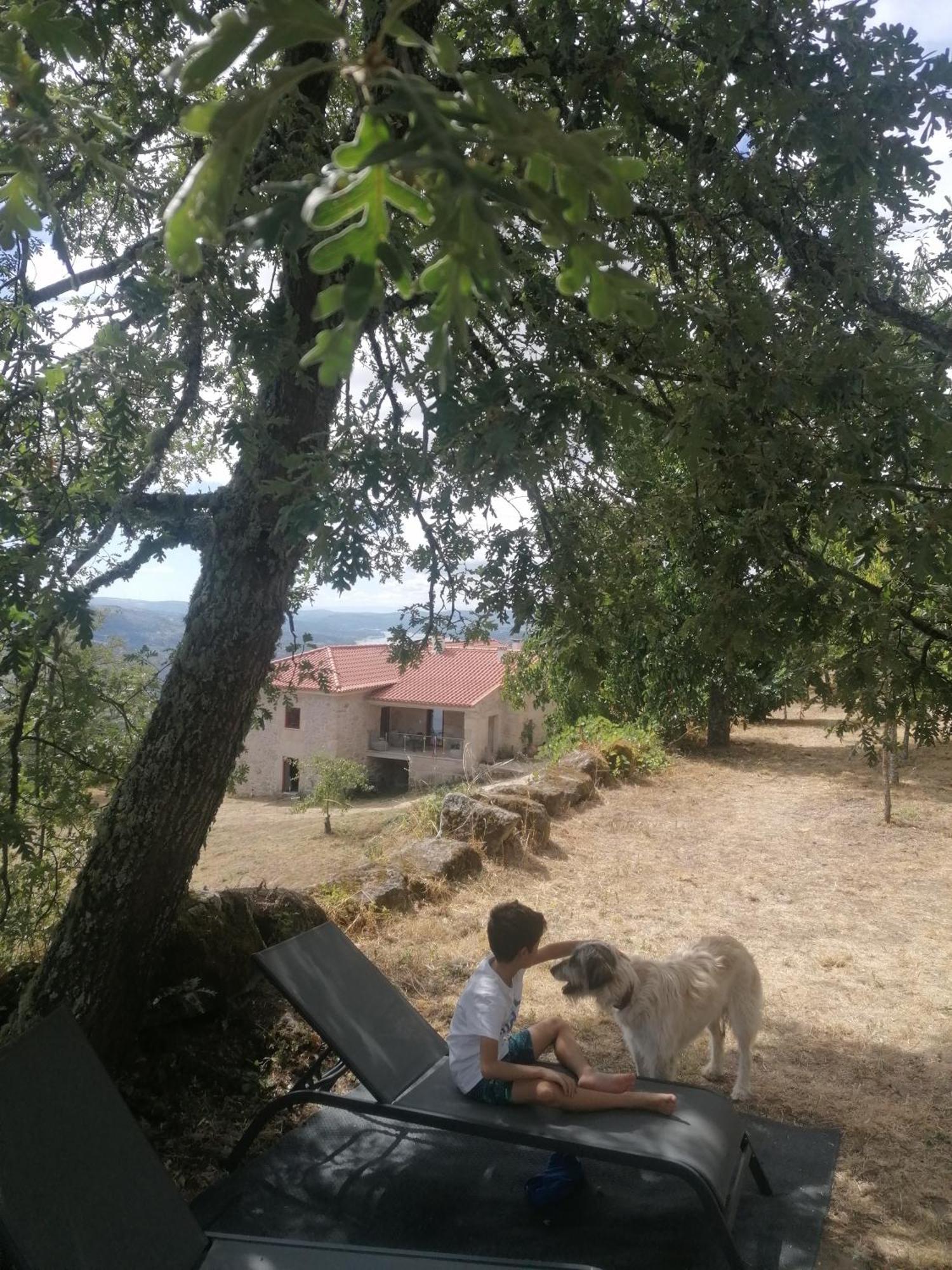 Casa Da Moiroa Villa Sendim  ภายนอก รูปภาพ
